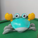 Caranguejo Dançante